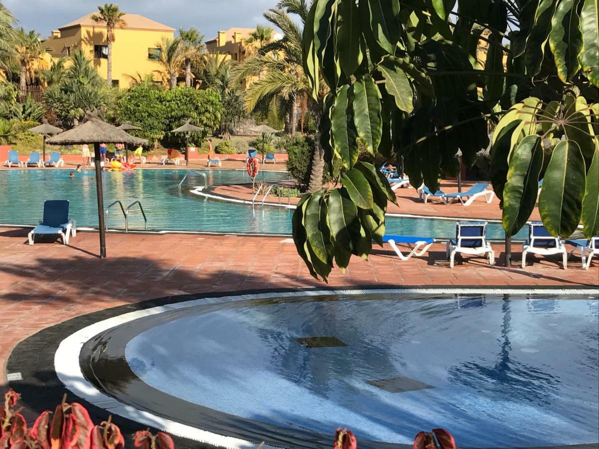 קורלחו My Pretty Home - Lovely And Spacious Surrounded By Tropical Gardens - Private Covered And Uncovered Terrace - Pool - Parking - Free Fibre Optic Internet מראה חיצוני תמונה